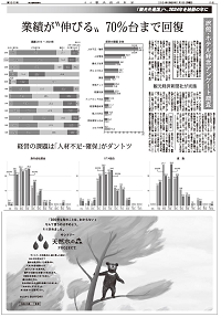 PDF