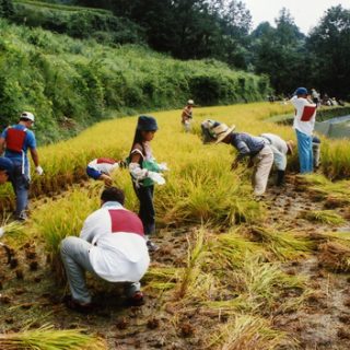 滞在交流型の観光地域作りが課題 （写真は、にし阿波〜剣山・西吉野観光圏での体験プログラム）