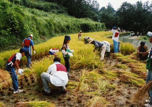 滞在交流型の観光地域作りが課題 (写真は、にし阿波〜剣山・西吉野観光圏での体験プログラム)